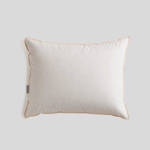 Recycled Down Pillow